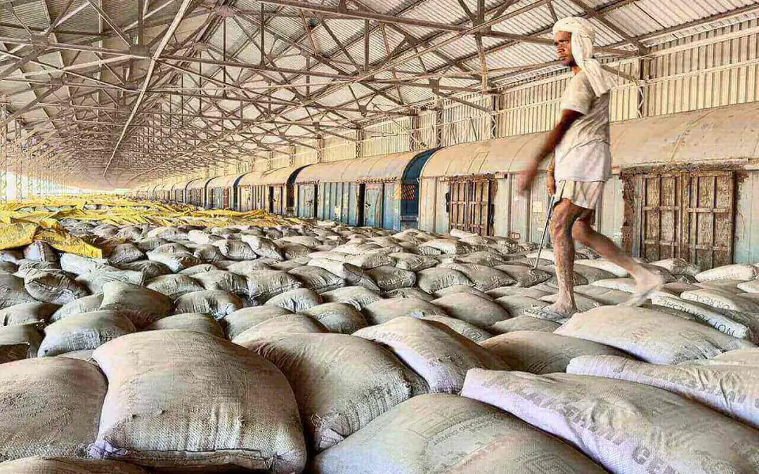 MP Birla Cement bags